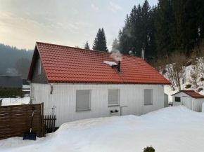 Detached holiday home with fenced garden in beautiful Thuringia Schmiedefeld Am Rennsteig